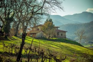 Bed and Breakfast Fattoria Poggio di Dante Poppi Arezzo