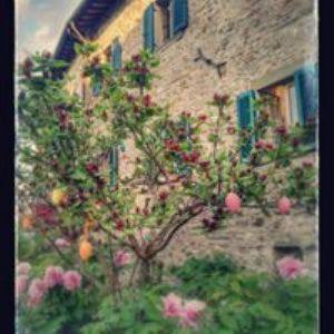 Bed and Breakfast Il Giardino Nascosto Anghiari Arezzo